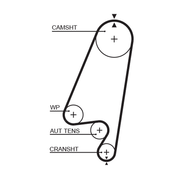Cinghia dentata - 5367XS GATES