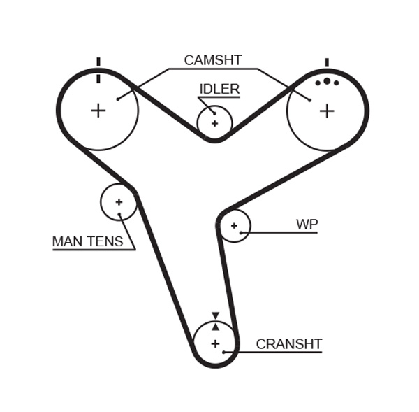Cinghia dentata - 5380XS GATES