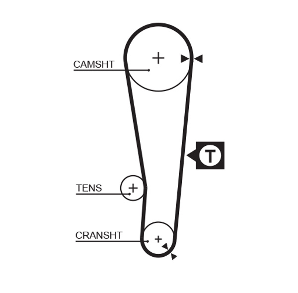 Cinghia dentata - 5386XS GATES