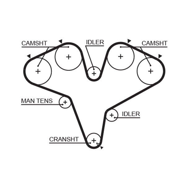 Cinghia dentata - T251RB GATES