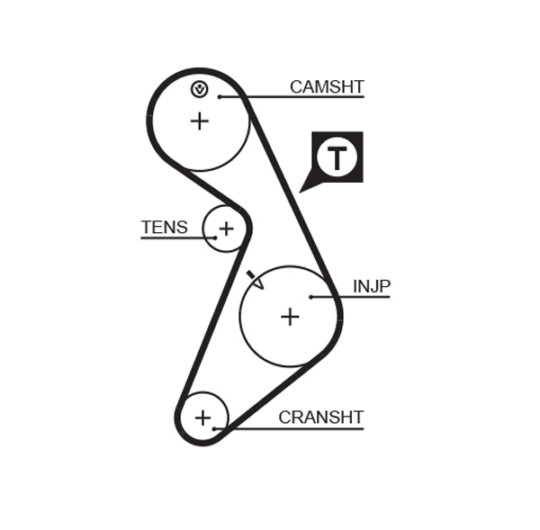 Timing Belt - 5395 GATES