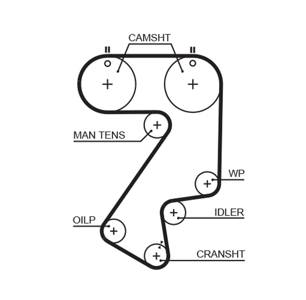 Timing Belt - 5404XS GATES