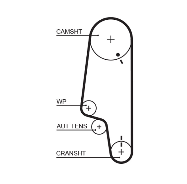 Timing Belt - 5426 GATES