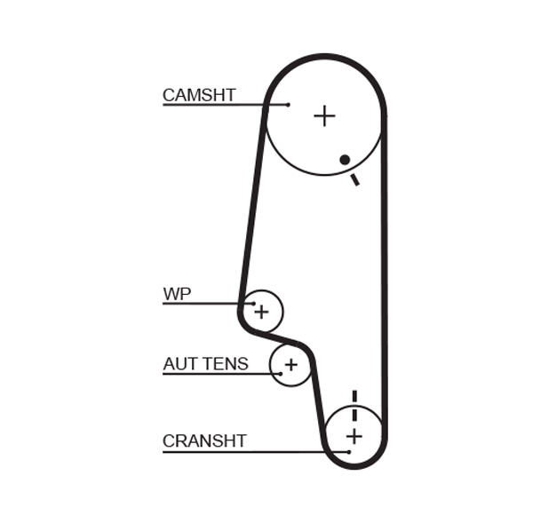Cinghia dentata - 5428XS GATES