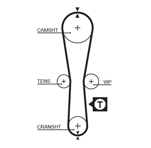 Timing Belt - 5454XS GATES