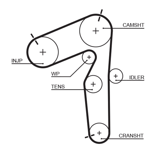 Cinghia dentata - 5462XS GATES