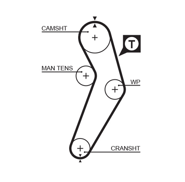 Cinghia dentata - 5473XS GATES