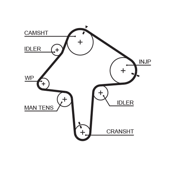 Timing Belt - 5482XS GATES