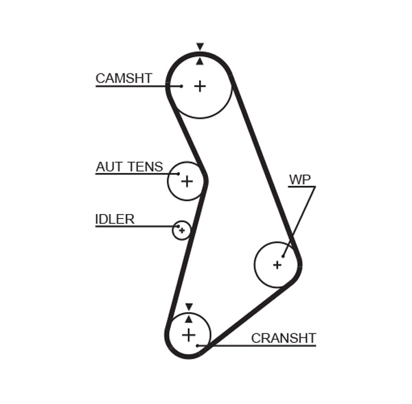 Timing Belt - 5491XS GATES