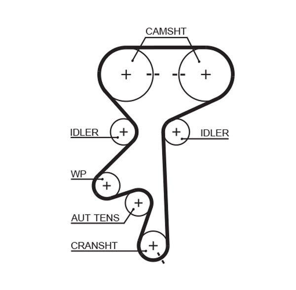 Timing Belt - 5499XS GATES