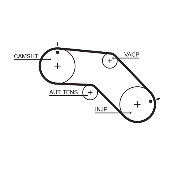Timing Belt - 5504XS GATES