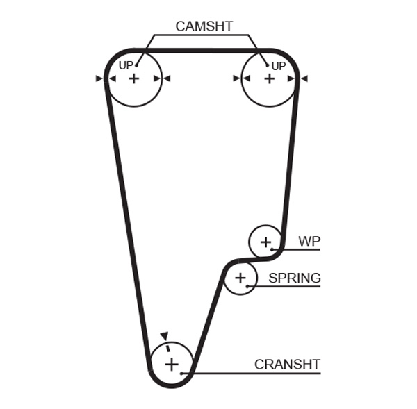 Timing Belt - 5505XS GATES