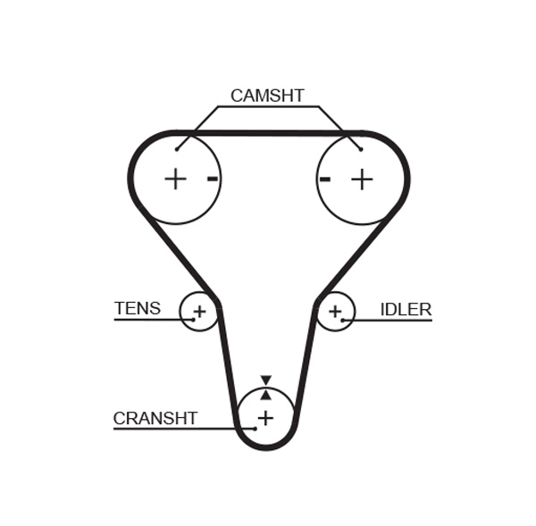 Cinghia dentata - 5512XS GATES