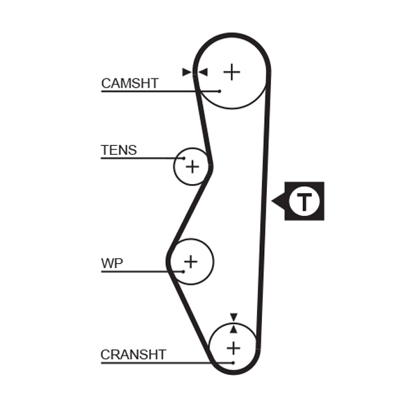 Timing Belt - 5521 GATES