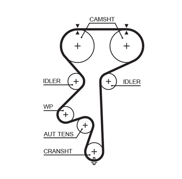 Timing Belt - 5542XS GATES