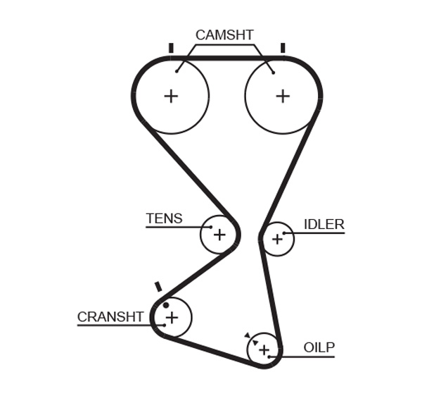Timing Belt - 5556XS GATES