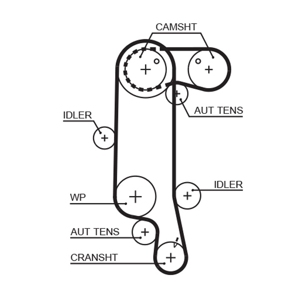 Timing Belt - 5565XS GATES