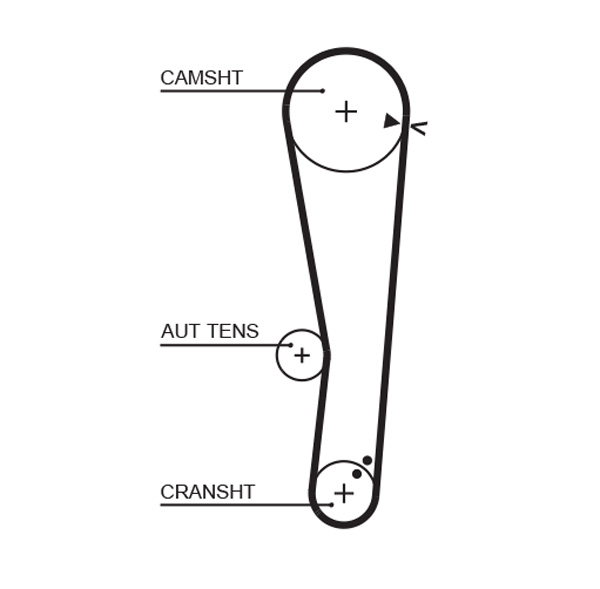 Cinghia dentata - 5568XS GATES