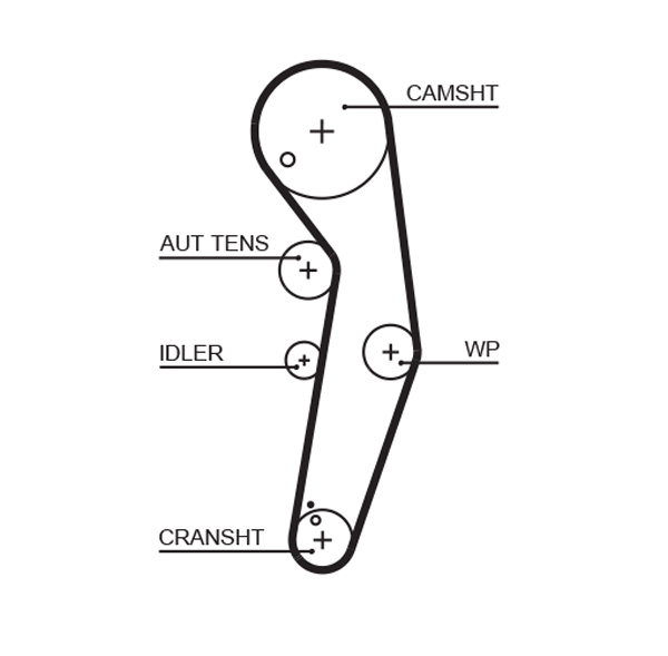 Timing Belt - 5569XS GATES