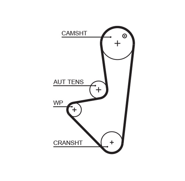 Timing Belt - 5574XS GATES