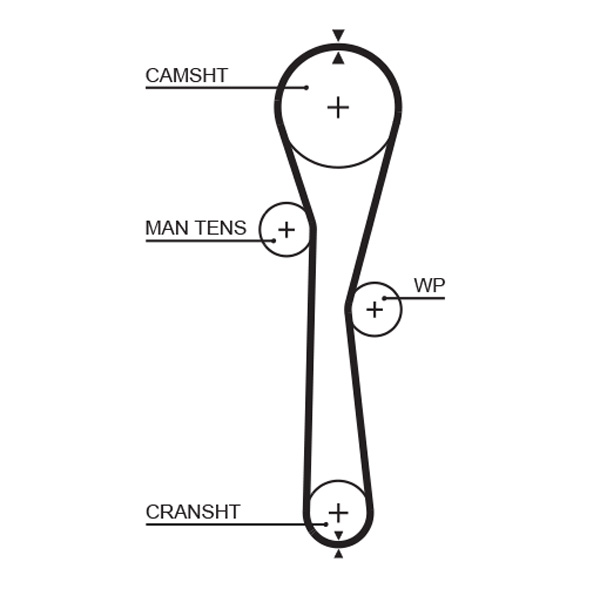 Timing Belt - 5577XS GATES