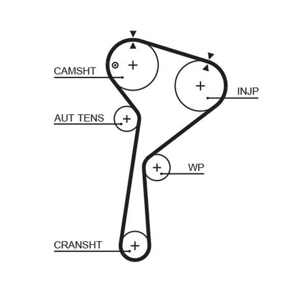 Timing Belt - 5578XS GATES