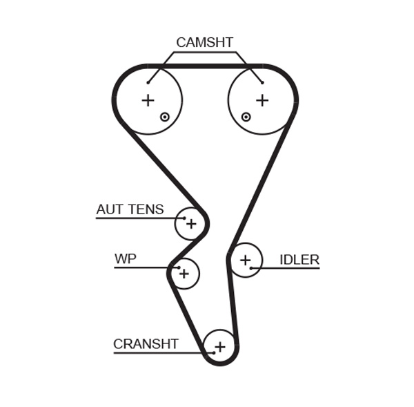 Timing Belt - 5581XS GATES