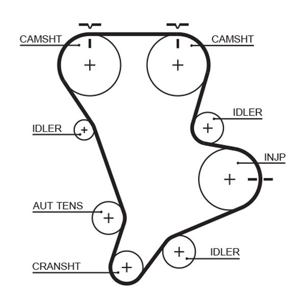 Timing Belt - 5583XS GATES