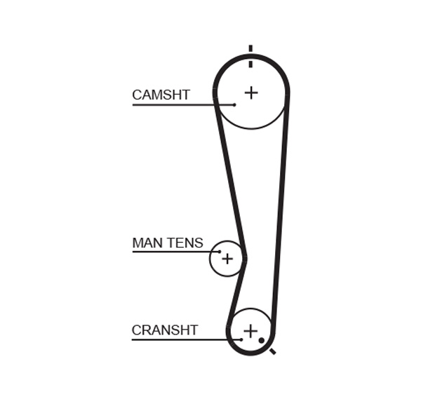 Cinghia dentata - 5591XS GATES