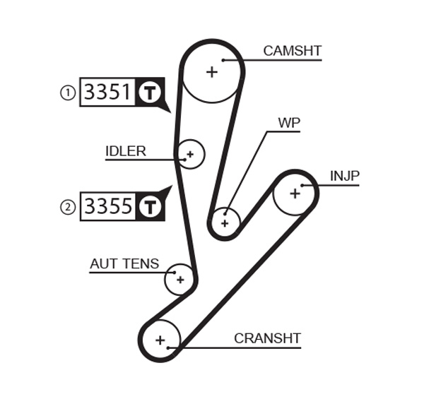 Cinghia dentata - 5592XS GATES