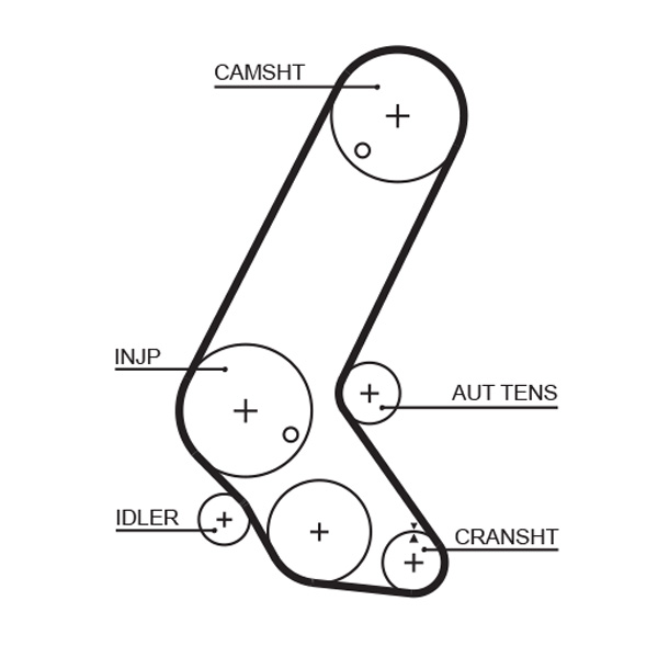 Timing Belt - 5595XS GATES