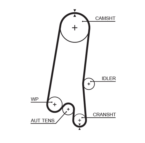 Timing Belt - 5597XS GATES