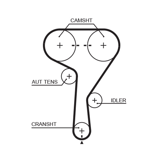 Timing Belt - 5603XS GATES