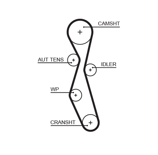 Timing Belt - 5606XS GATES