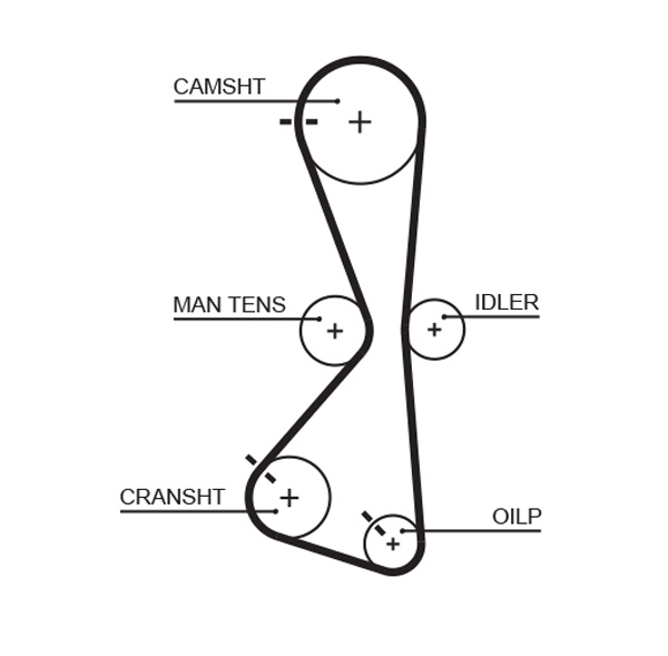 Timing Belt - 5609XS GATES