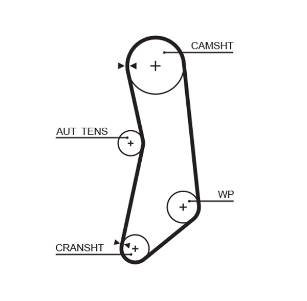 Timing Belt - 5626XS GATES