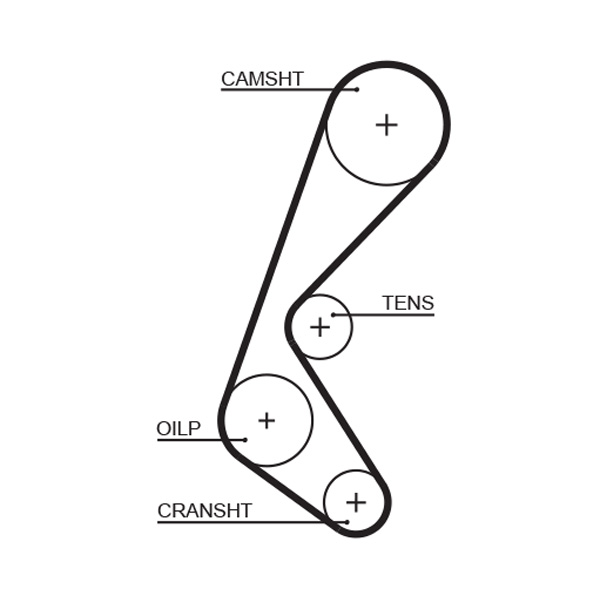 Cinghia dentata - 5628XS GATES