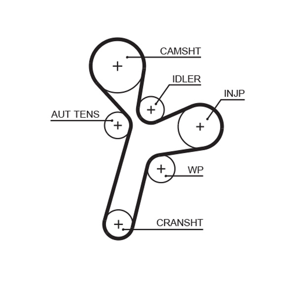 Timing Belt - 5634XS GATES