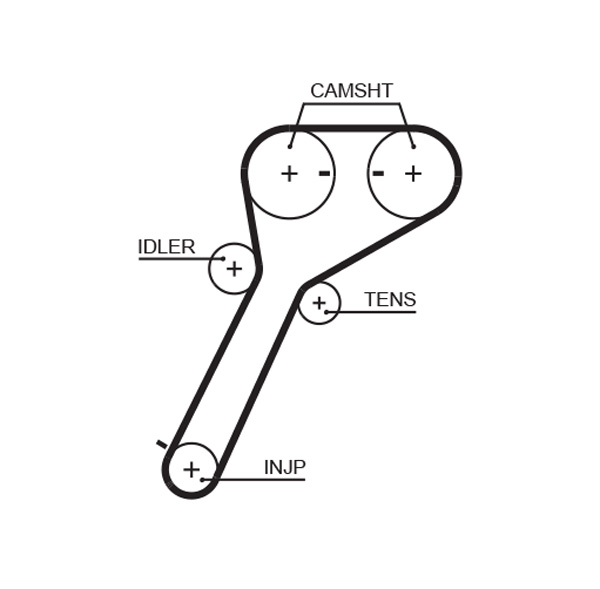 Timing Belt - 5651XS GATES