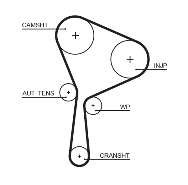 Cinghia dentata - 5654XS GATES