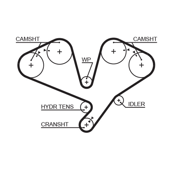 Timing Belt - 5659XS GATES