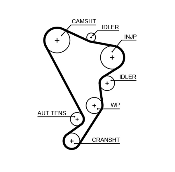 Timing Belt - 5661XS GATES