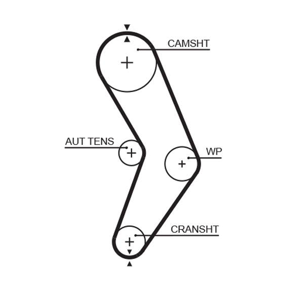 Timing Belt - 5662XS GATES