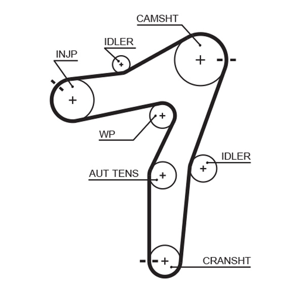 Timing Belt - 5663XS GATES
