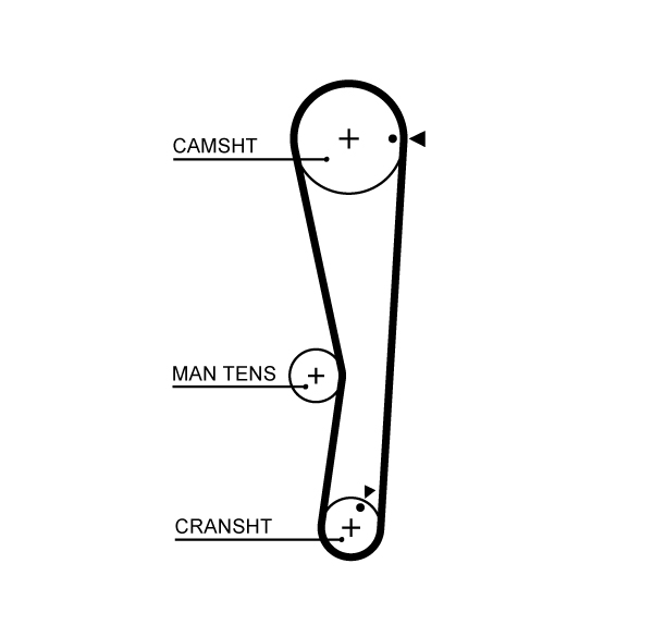 Cinghia dentata - 5687XS GATES