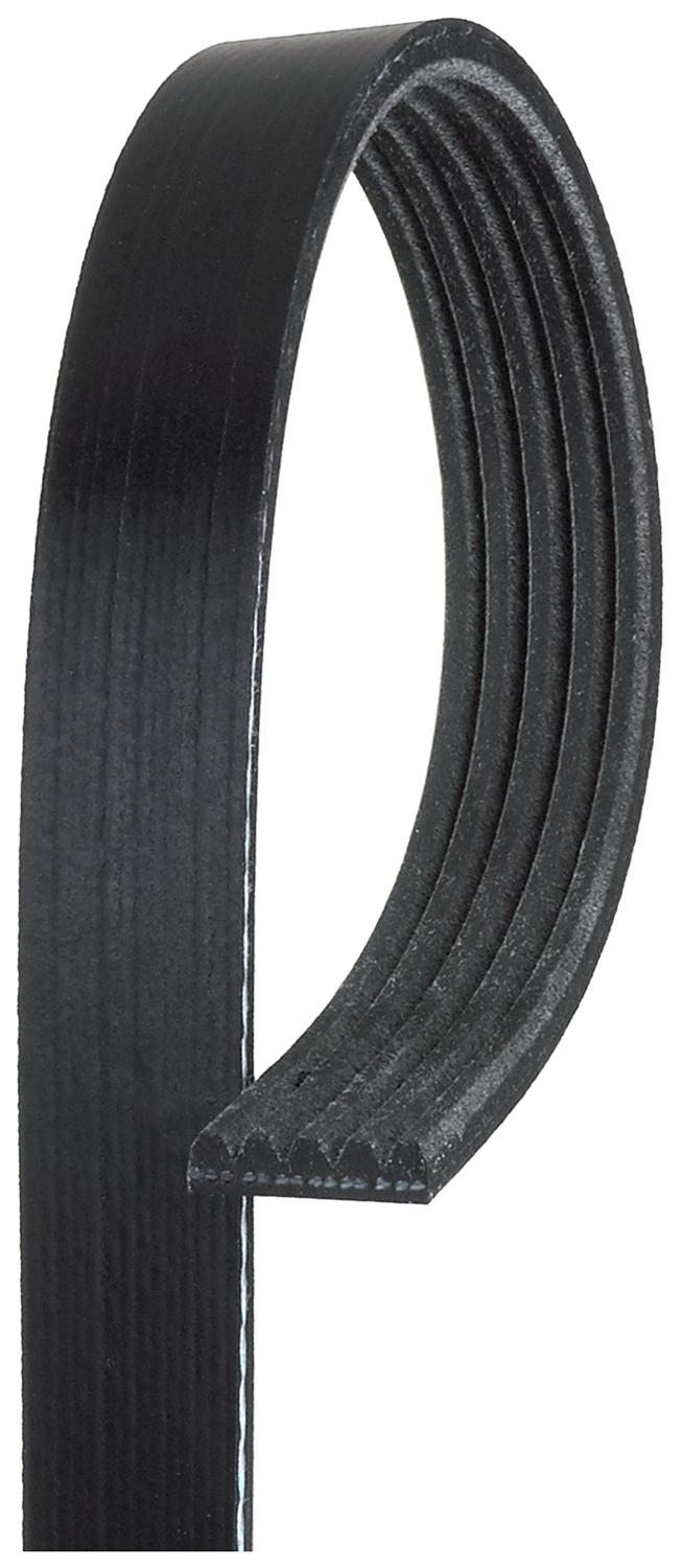 Cinghia Poly-V - 58436 GATES