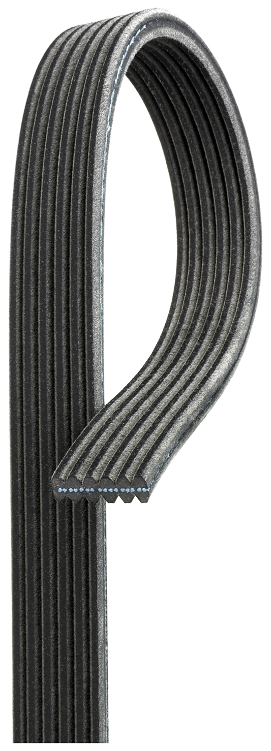 Cinghia Poly-V - 6DPK1195 GATES