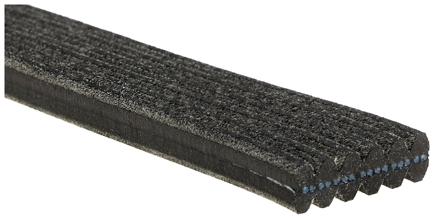 Cinghia Poly-V - 6DPK1195 GATES