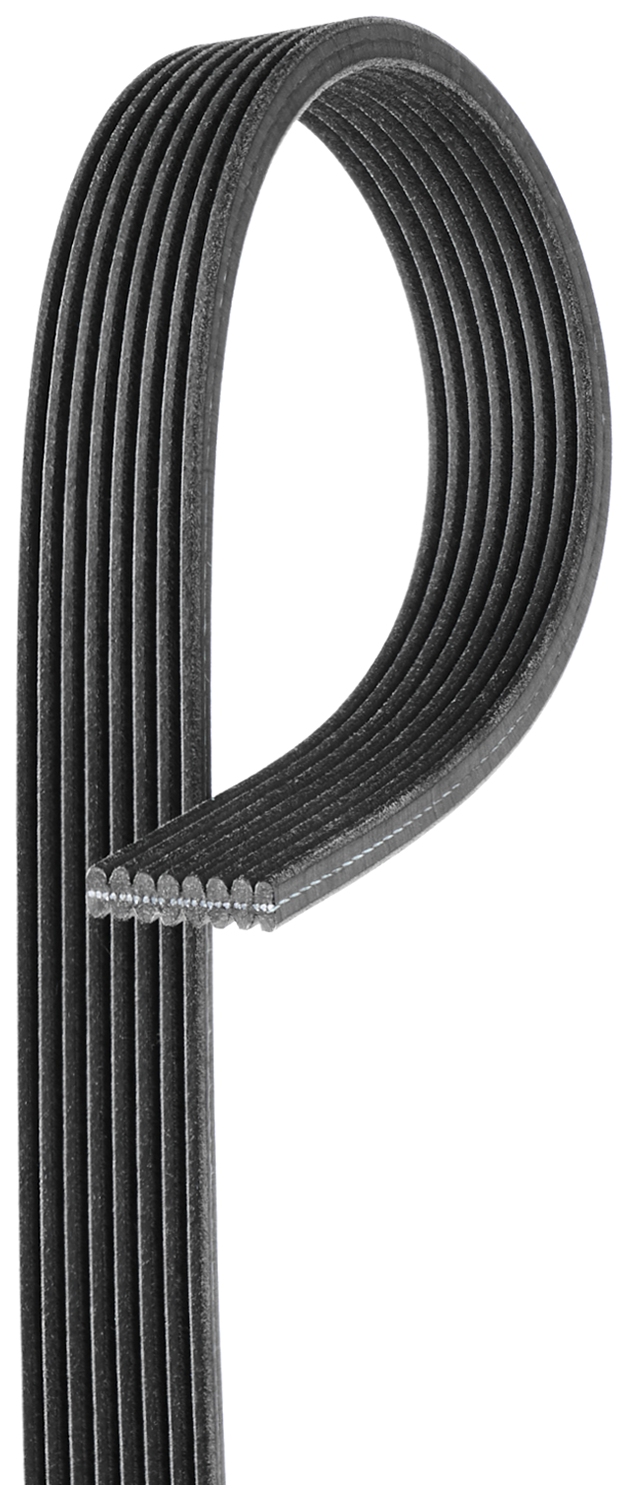 V-Ribbed Belt - 8DPK1355 GATES
