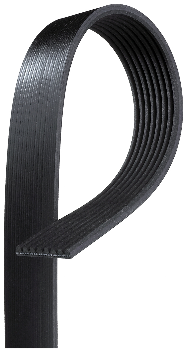 V-Ribbed Belt - 8PK1222HD GATES